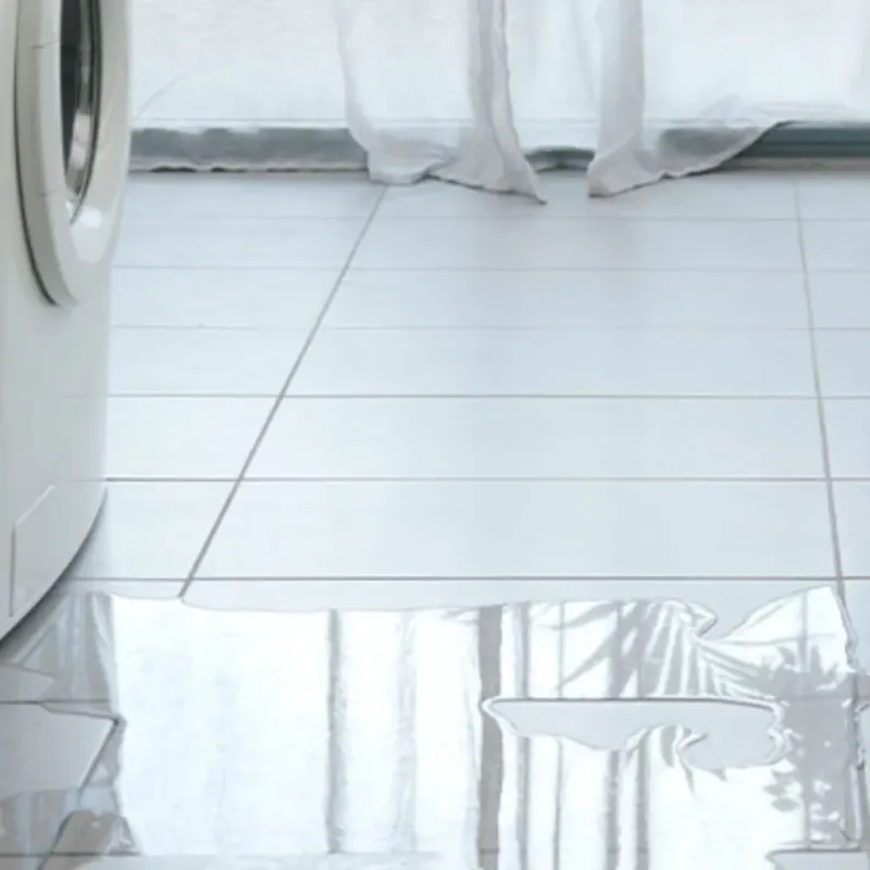Appliance Leak Cleanup in Garland County, AR