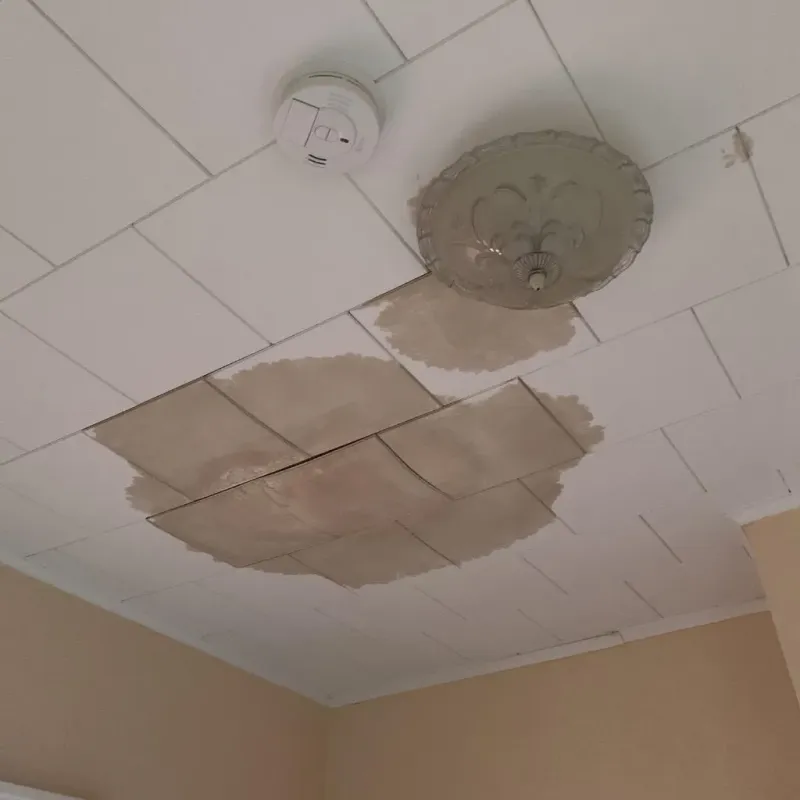 Ceiling Water Damage Repair in Garland County, AR