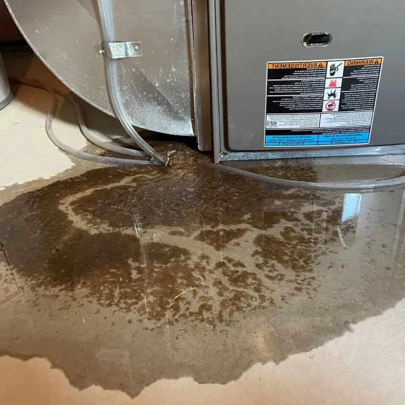 Pipe Burst and Leak Restoration in Garland County, AR